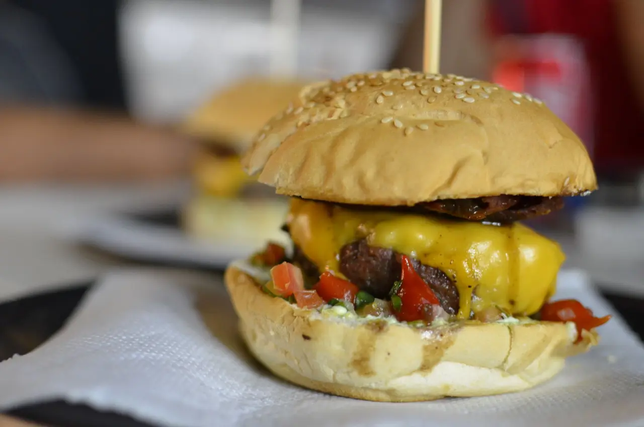 Hamburger