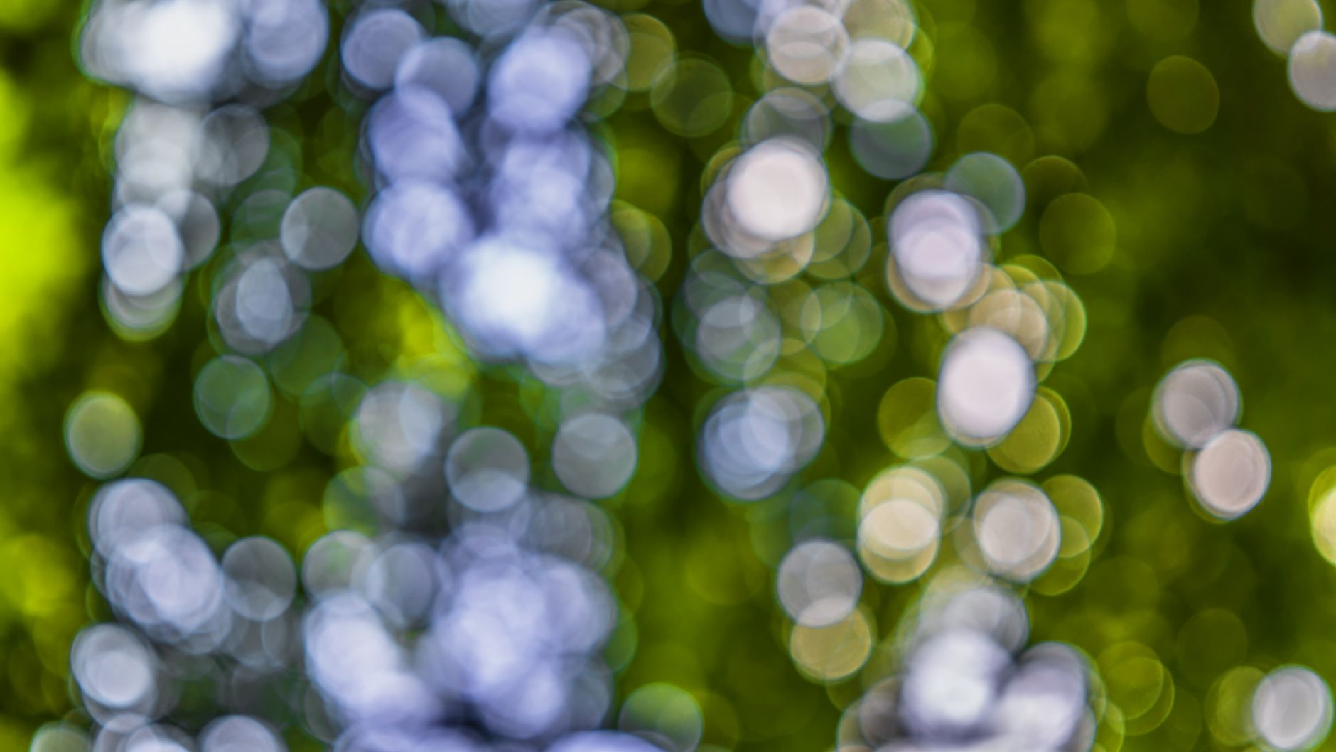 Bokeh ışıklar