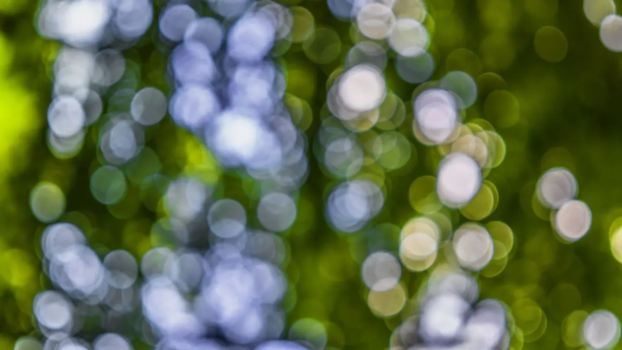 Bokeh ışıklar