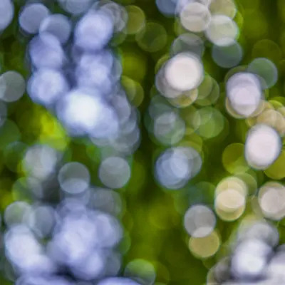 Bokeh ışıklar