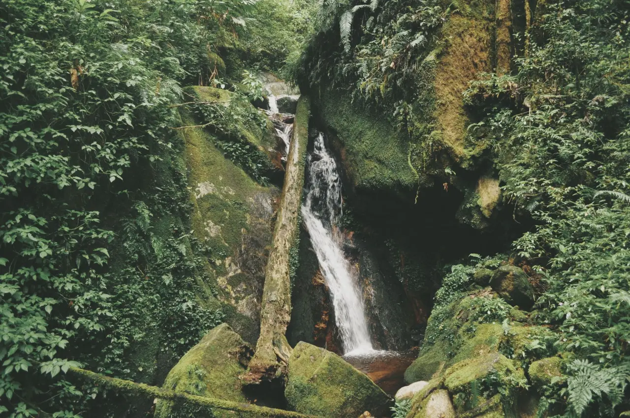 Şelale