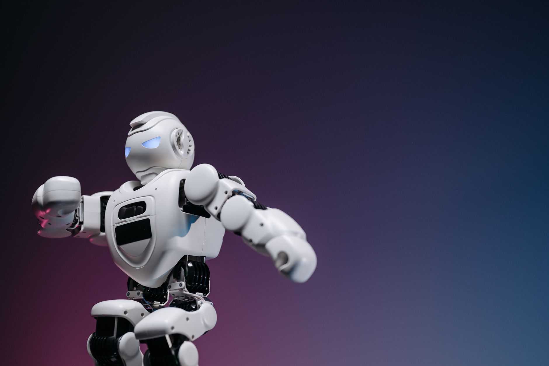 Robot