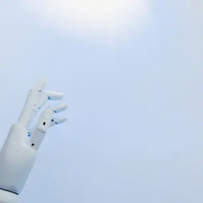 Robot