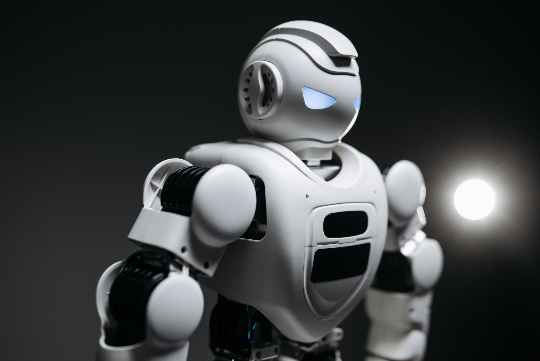 Robot
