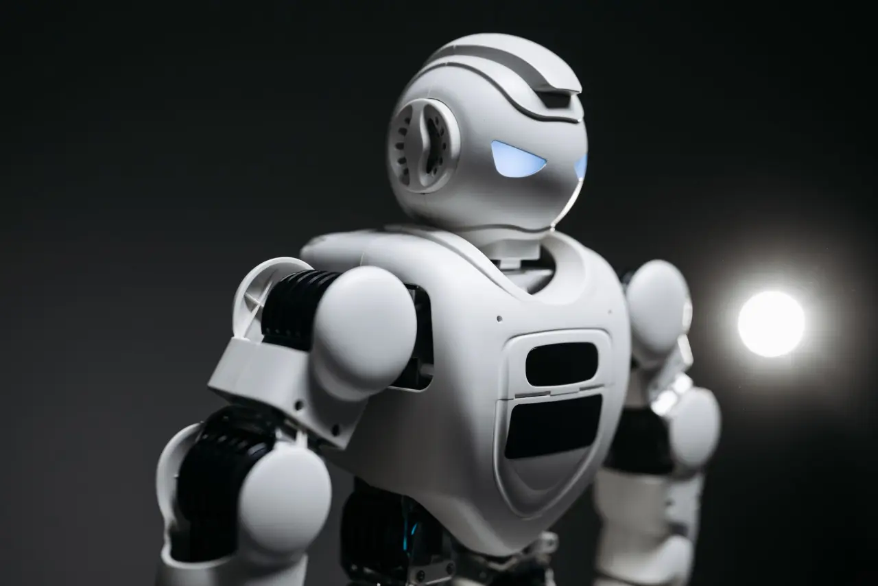 Robot