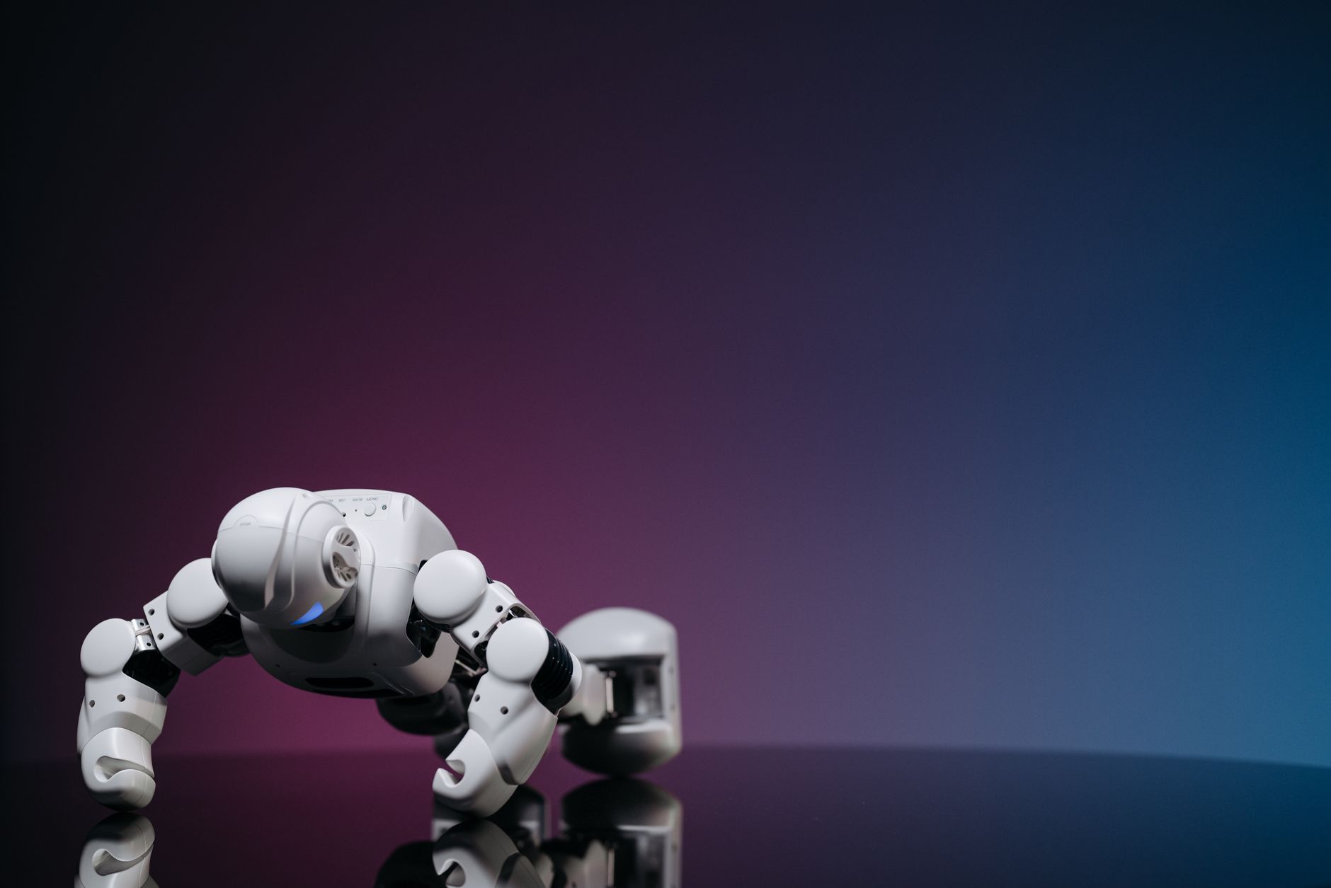 Robot