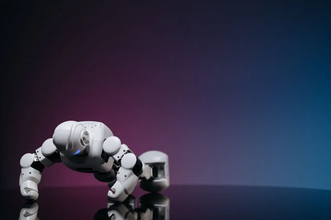 Robot