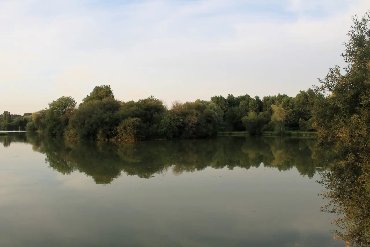 Göl kıyısı
