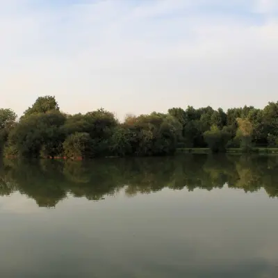 Göl kıyısı