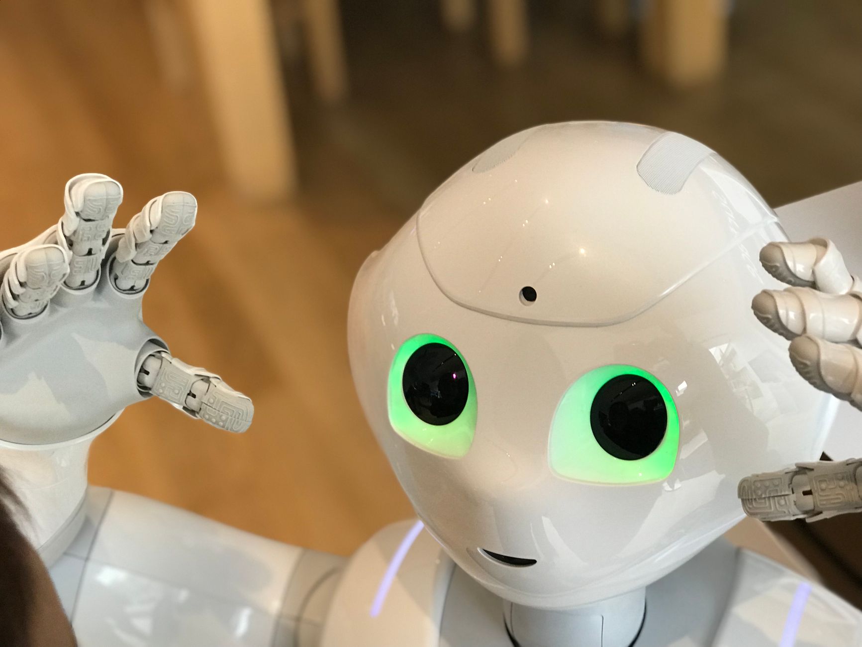 Robot