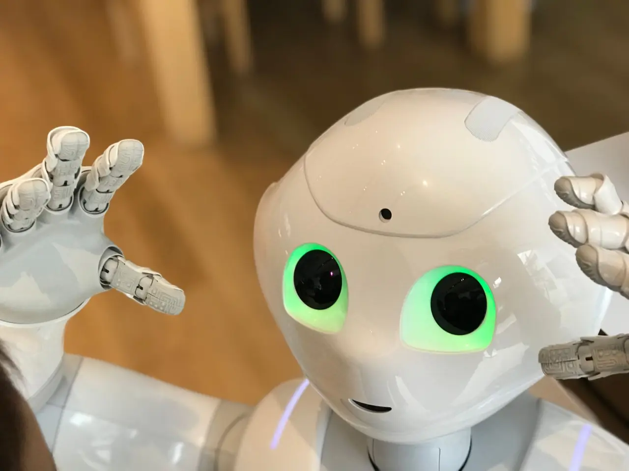 Robot