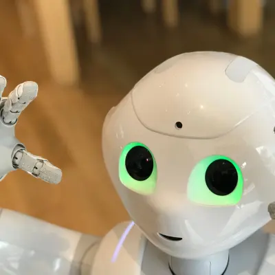 Robot