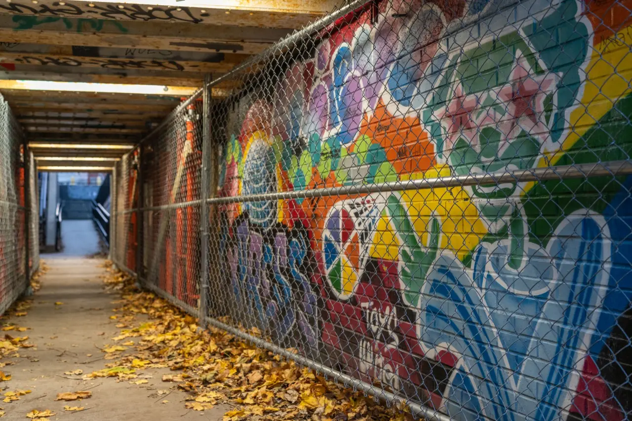 Grafiti
