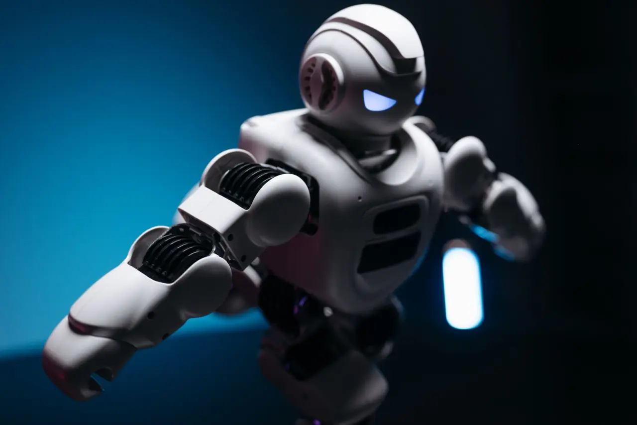 Robot