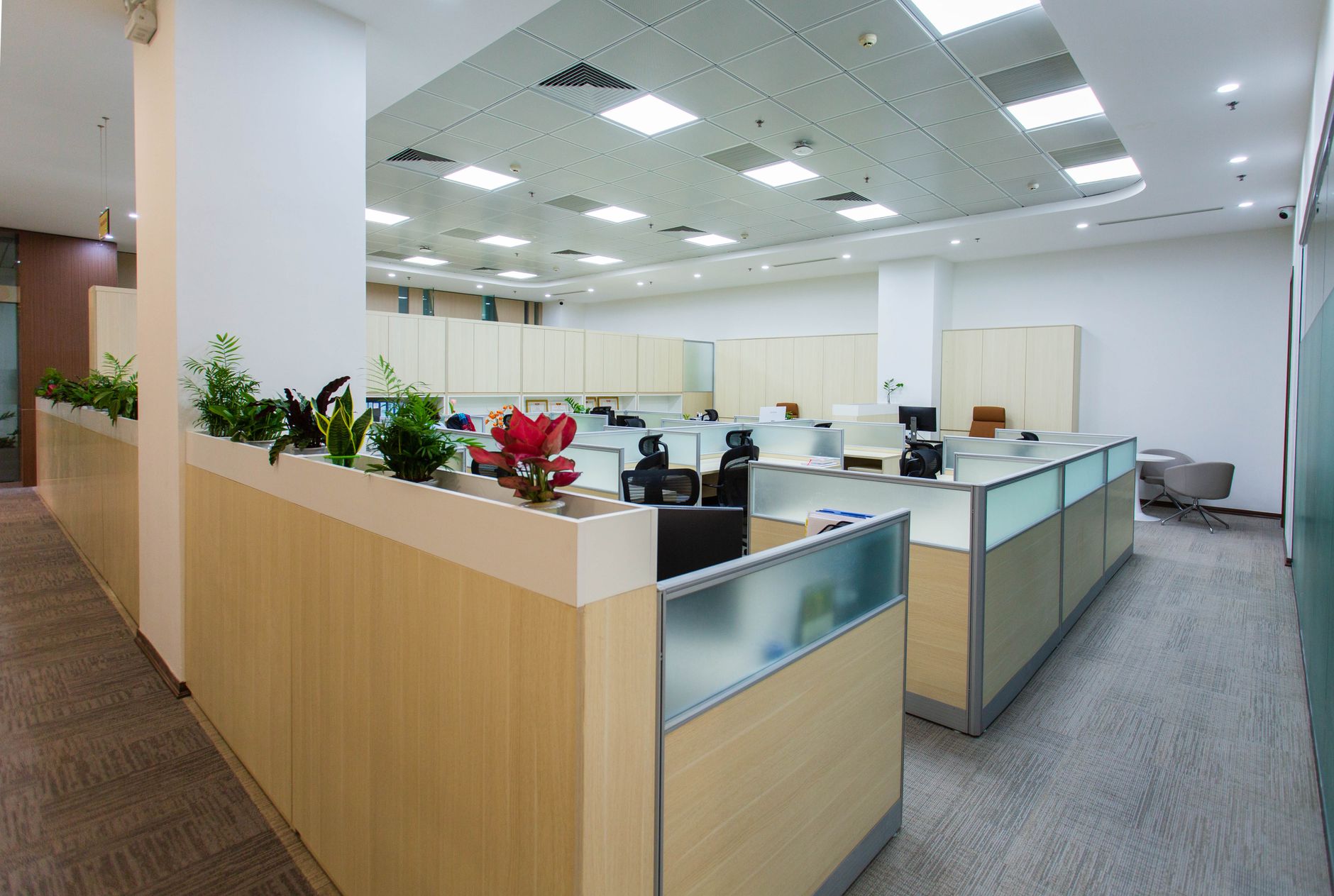 Ofis