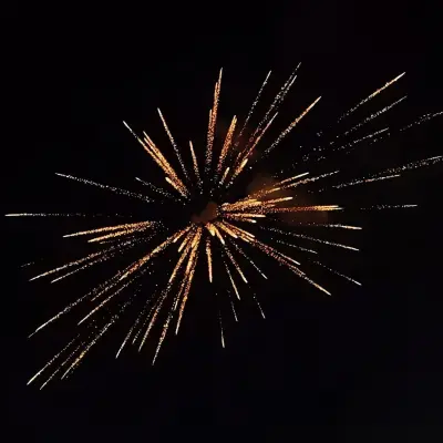 Havai fişek